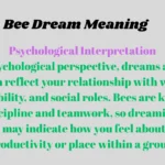 Bee Dream Meaning