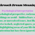 Cockroach Dream Meaning