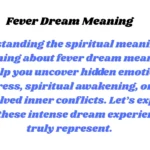 Fever Dream Meaning