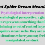 Giant Spider Dream Meaning