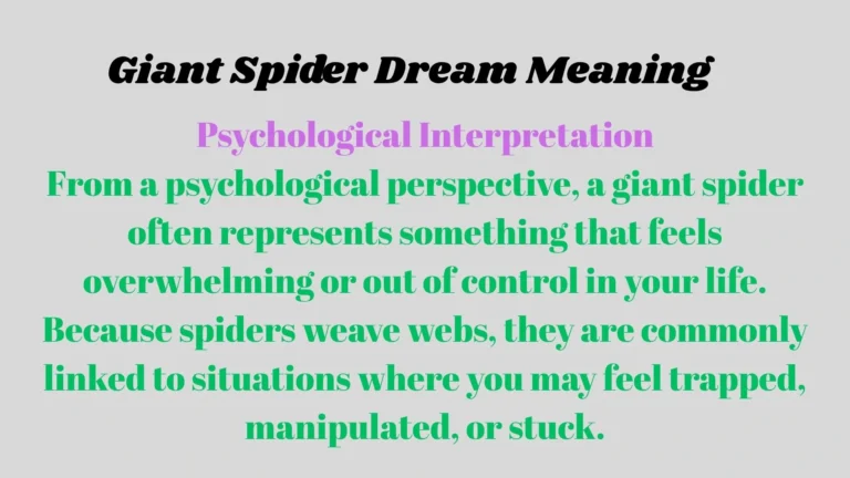 Giant Spider Dream Meaning