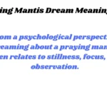 Praying Mantis Dream Meaning