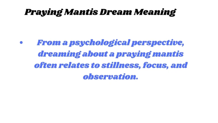 Praying Mantis Dream Meaning