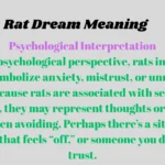 Rat Dream Meaning