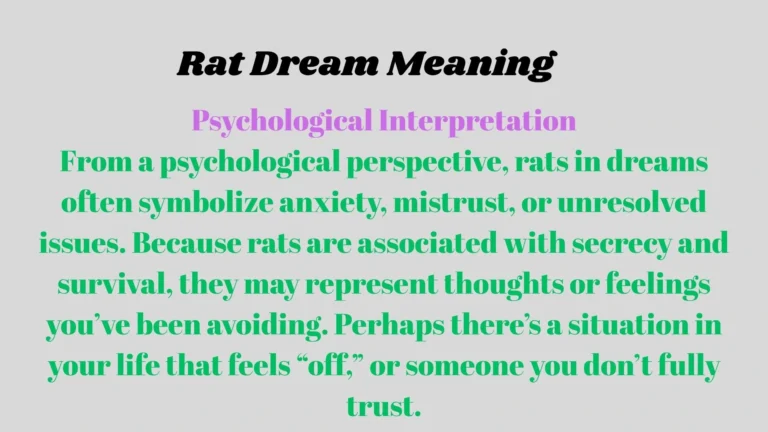 Rat Dream Meaning