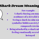 Shark Dream Meaning