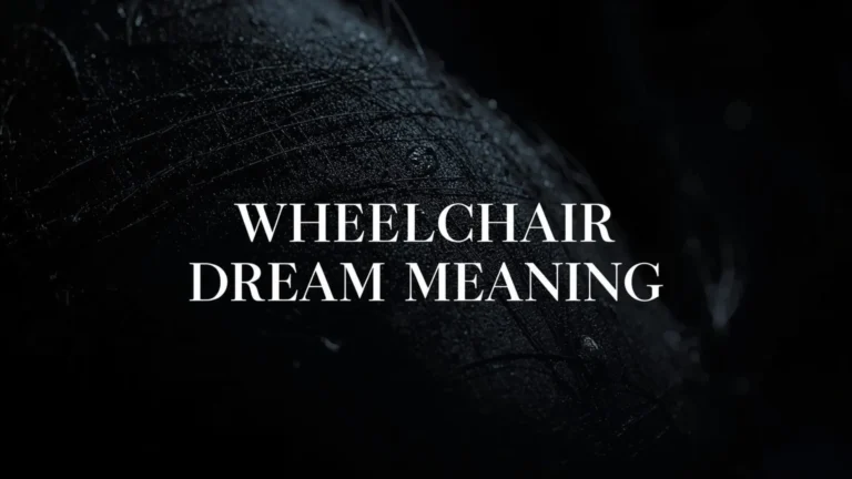 Wheelchair Dream Meaning