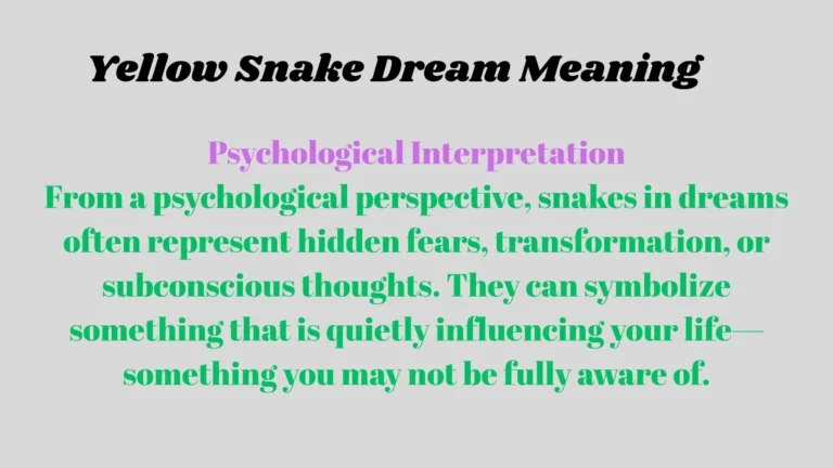 Yellow Snake Dream Meaning
