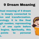 9 Dream Meaning