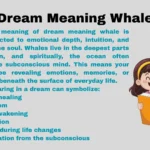 Dream Meaning Whale