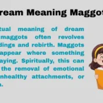 Dream Meaning Maggots