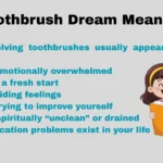 Toothbrush Dream Meaning