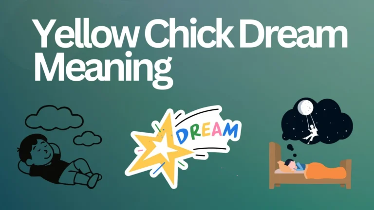 Yellow Chick Dream Meaning